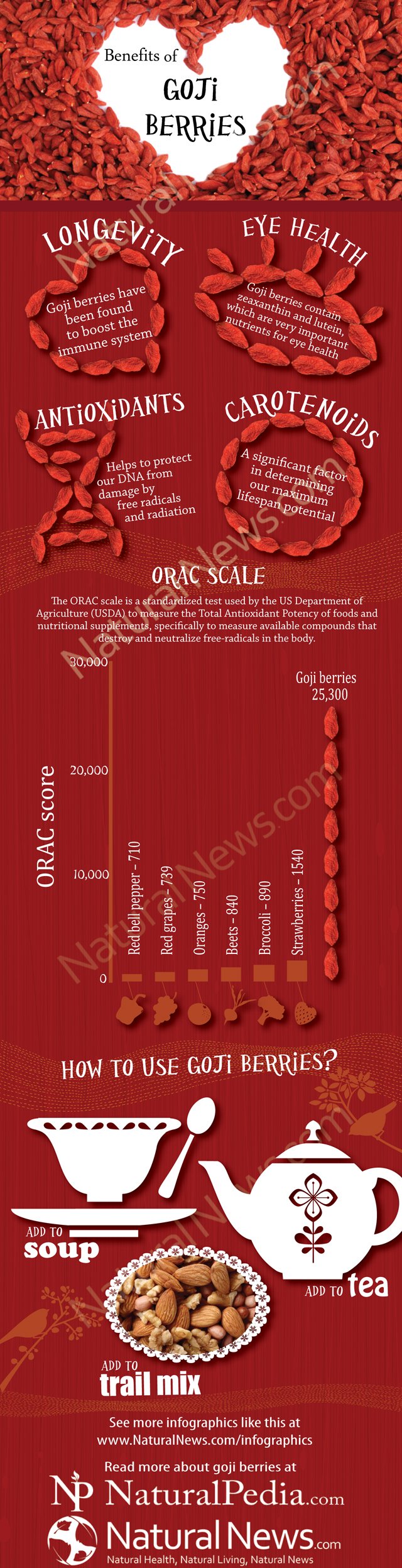 Health Benefits of Goji Berries [Infographic]